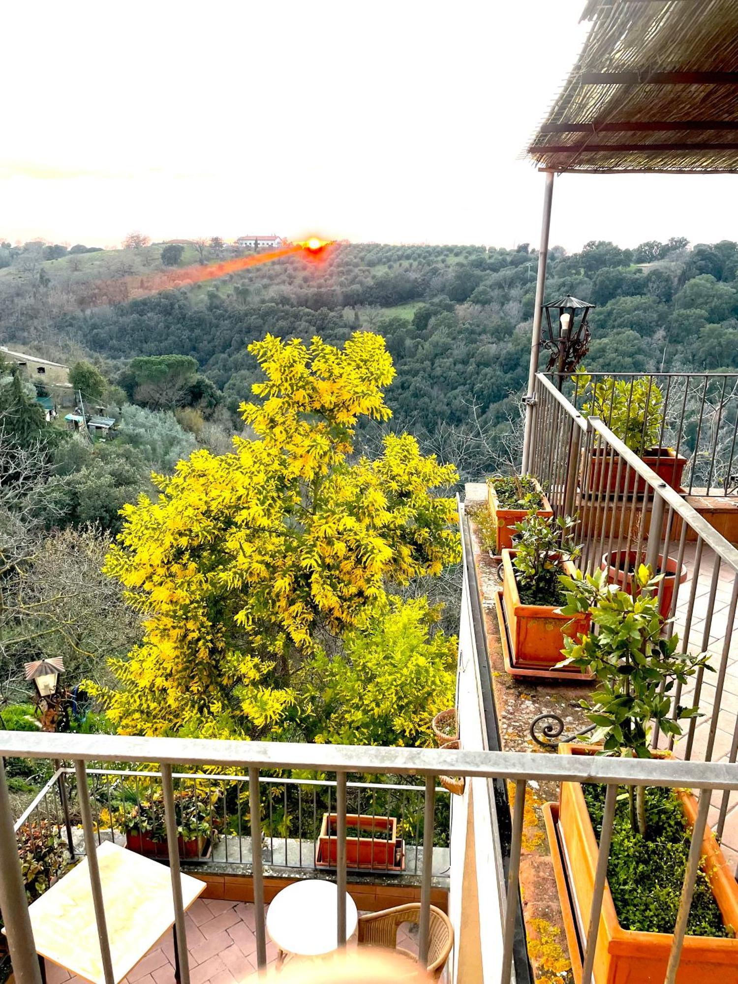 Ghigo La Locanda Di Torquato Montorgiali 外观 照片
